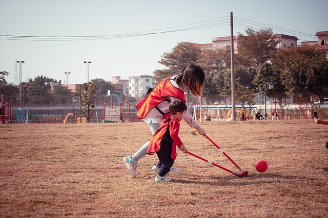 将是太阳队