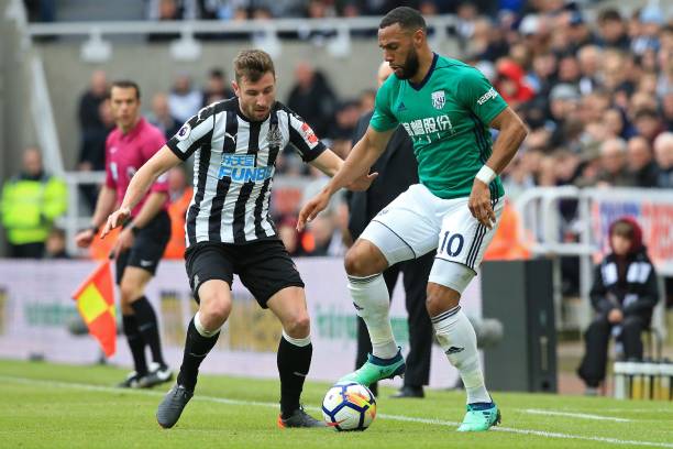 迷们看到了 迷们看到了